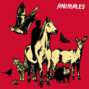 Animales