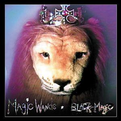Magic Wands: Black Magic