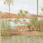 Some Reptiles Developed Wings EP