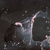 Ten Pound Snail: Overgrowth