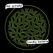 <strong>Mr Scruff</strong>