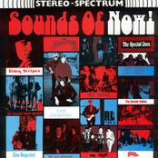 Sounds Of Now