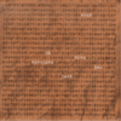 La vita regolata dal Caso