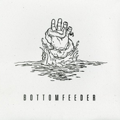 BottomFeeder