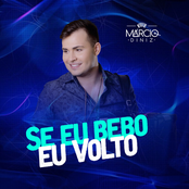 Se Eu Bebo Eu Volto