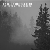 Infinity of the Forest