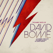 The Many Faces Of David Bowie