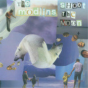 Shoot the Moon