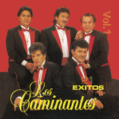 Los Caminantes: 21 Exitos Vol. I