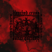Bleached Cross & Shamewave (Split) - EP
