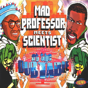 Scientist & Mad Professor