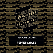 Pepper Snake / The Dap
