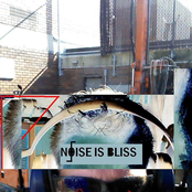 Noise Is Bliss