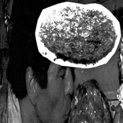 Re-digested Urea Liquid Faecal Sap