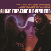Cookout Freakout On Lookout Mountain by The Ventures