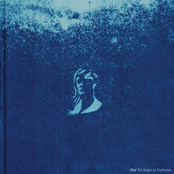 We Begin in Darkness