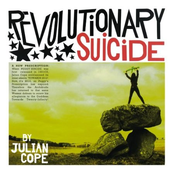 Paradise Mislaid by Julian Cope