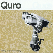 Looking for Andrew Bradley