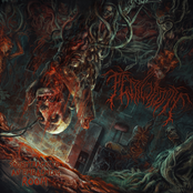 Soundtrack To An Embalming Room