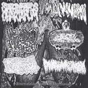 Excruciating Acid Disfigurement