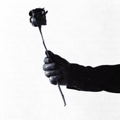 Love Me Anyway (Alternate Versions)