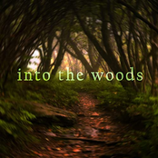 Into the Woods