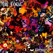 1000 Years by The Coral