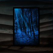 A Nocturnal Meditation