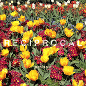 Reciprocal