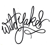 Crazy But Not Afraid