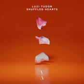 Shuffled Hearts