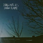 Torches In-Between the Trees