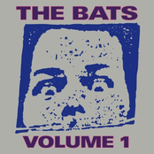 the bats: volume 1