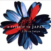 a tribute to JAPAN: Life in Tokyo