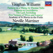 Vaughan Williams: Vaughan Williams: Tallis Fantasia; Fantasia on Greensleeves; The Lark Ascending etc.