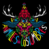 Animales de Costumbres