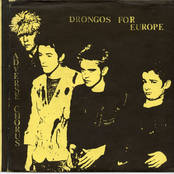 Drongos For Europe