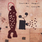 Shoot The Elephant by Shannon Worrell