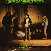 Screaming Trees - Don't Look Down