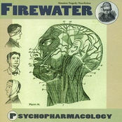 The Man With The Blurry Face by Firewater