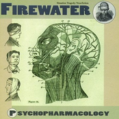 Car Crash Collaborator by Firewater