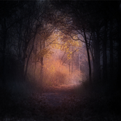 Languished Aeons In Ruins (Demo)