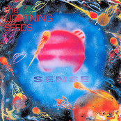 Sense by The Lightning Seeds