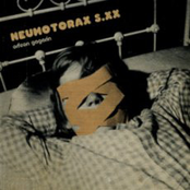 Neumotorax S.XX