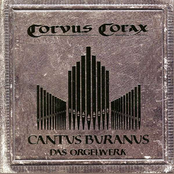 Cantus Buranus - Das Orgelwerk Album Picture