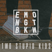 Emo Night Brooklyn: Two Stupid Kids - Single