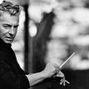 wiener philharmoniker/herbert von karajan