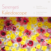 Serengeti: Kaleidoscope