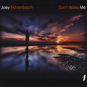 Don't Wake Me by Joey Fehrenbach