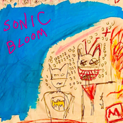 Sonic Bloom